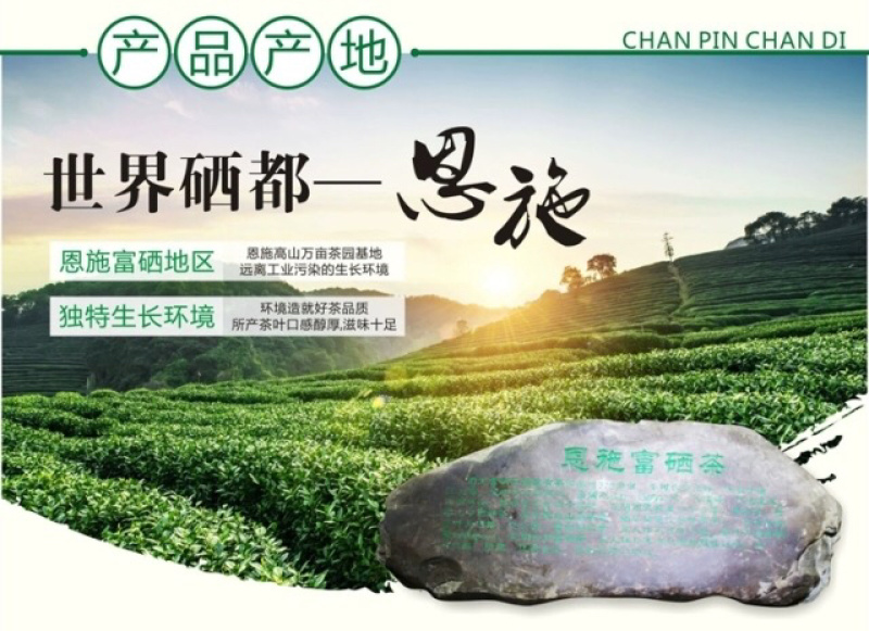 湖北恩施富硒玉露茶