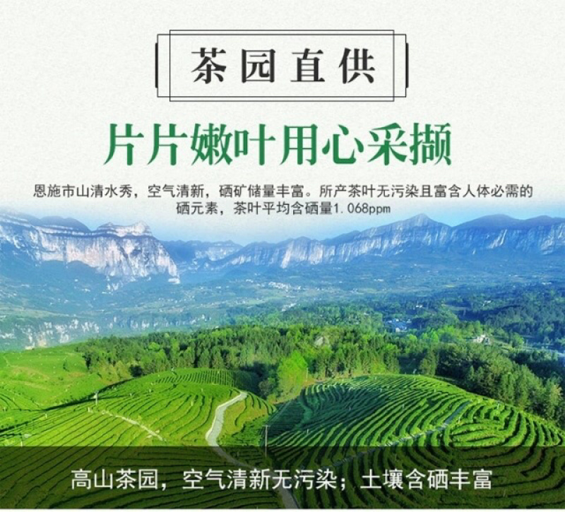 湖北恩施富硒玉露茶