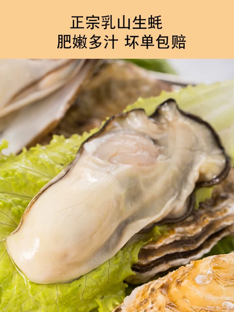 乳山牡蛎批发商，支持平台交易，一件代，发产地直供