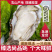 乳山牡蛎批发商，支持平台交易，一件代，发产地直供