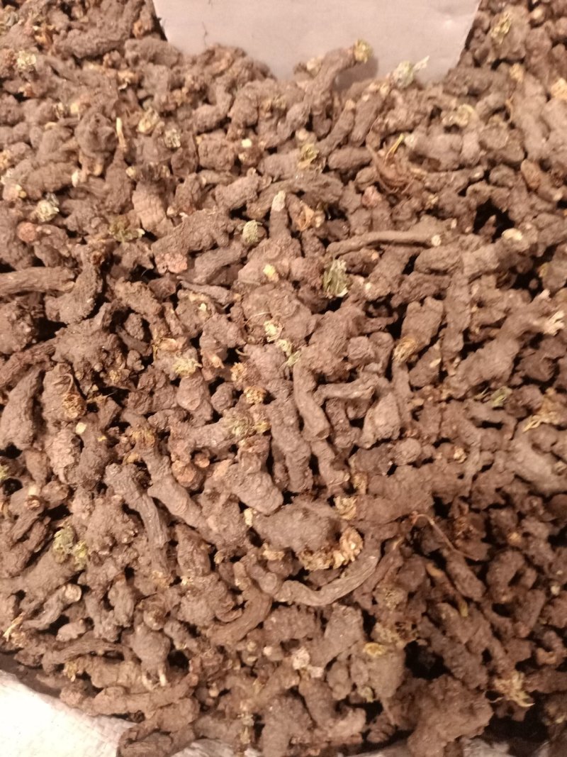 天葵子质量优没有沫子大货供应