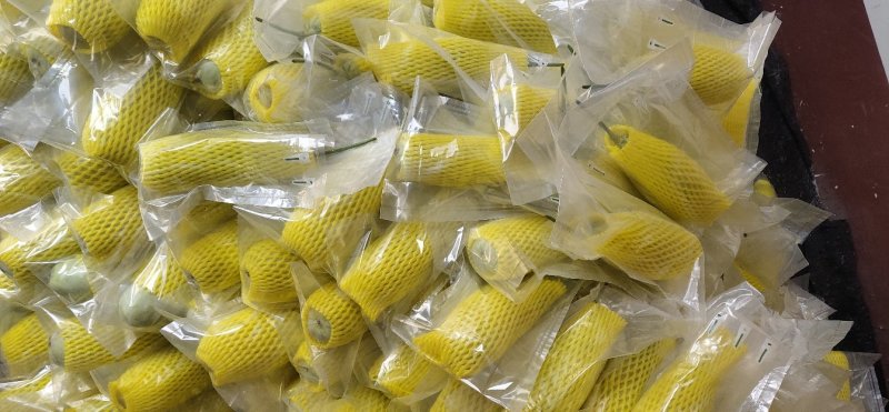山东羊角蜜甜瓜对接平台电商微商一件代发