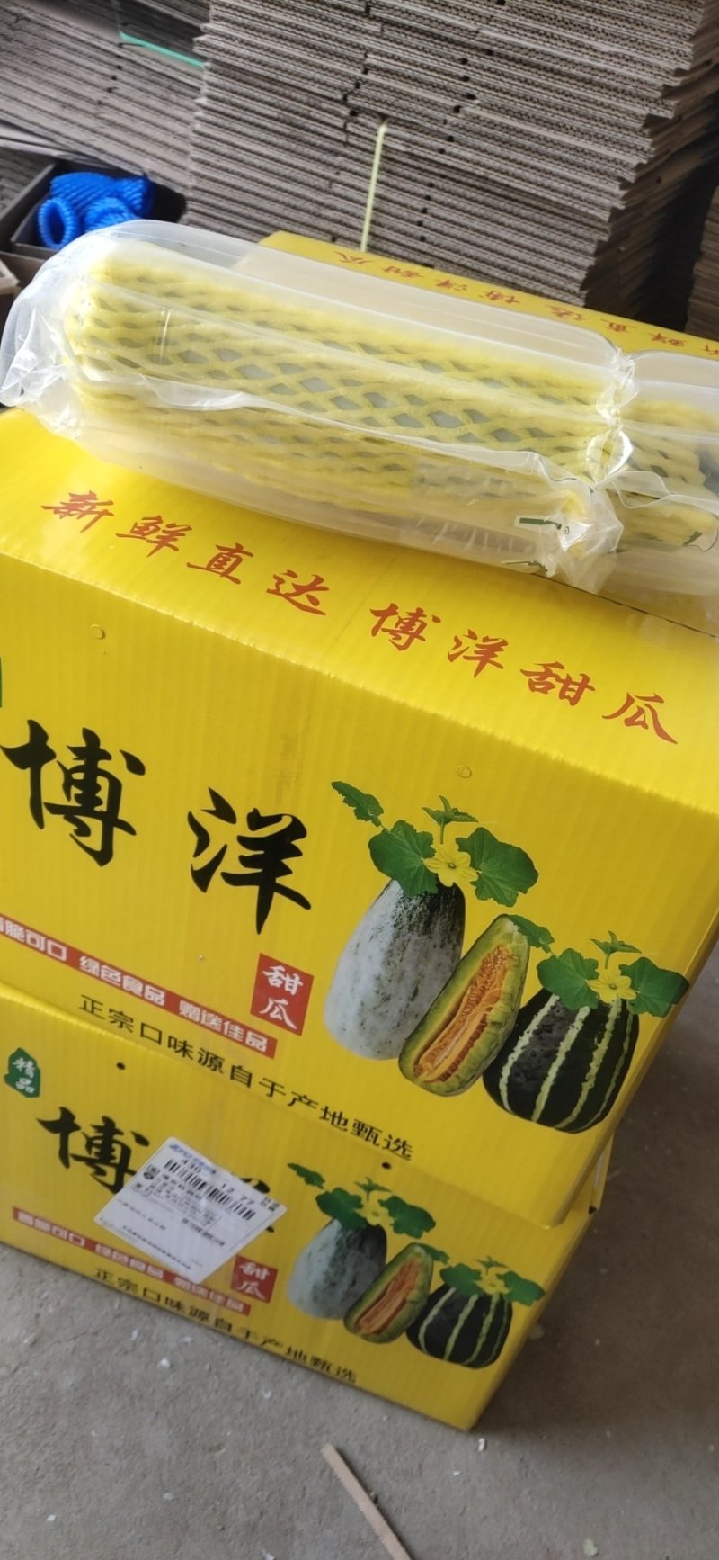 山东羊角蜜甜瓜对接平台电商微商一件代发