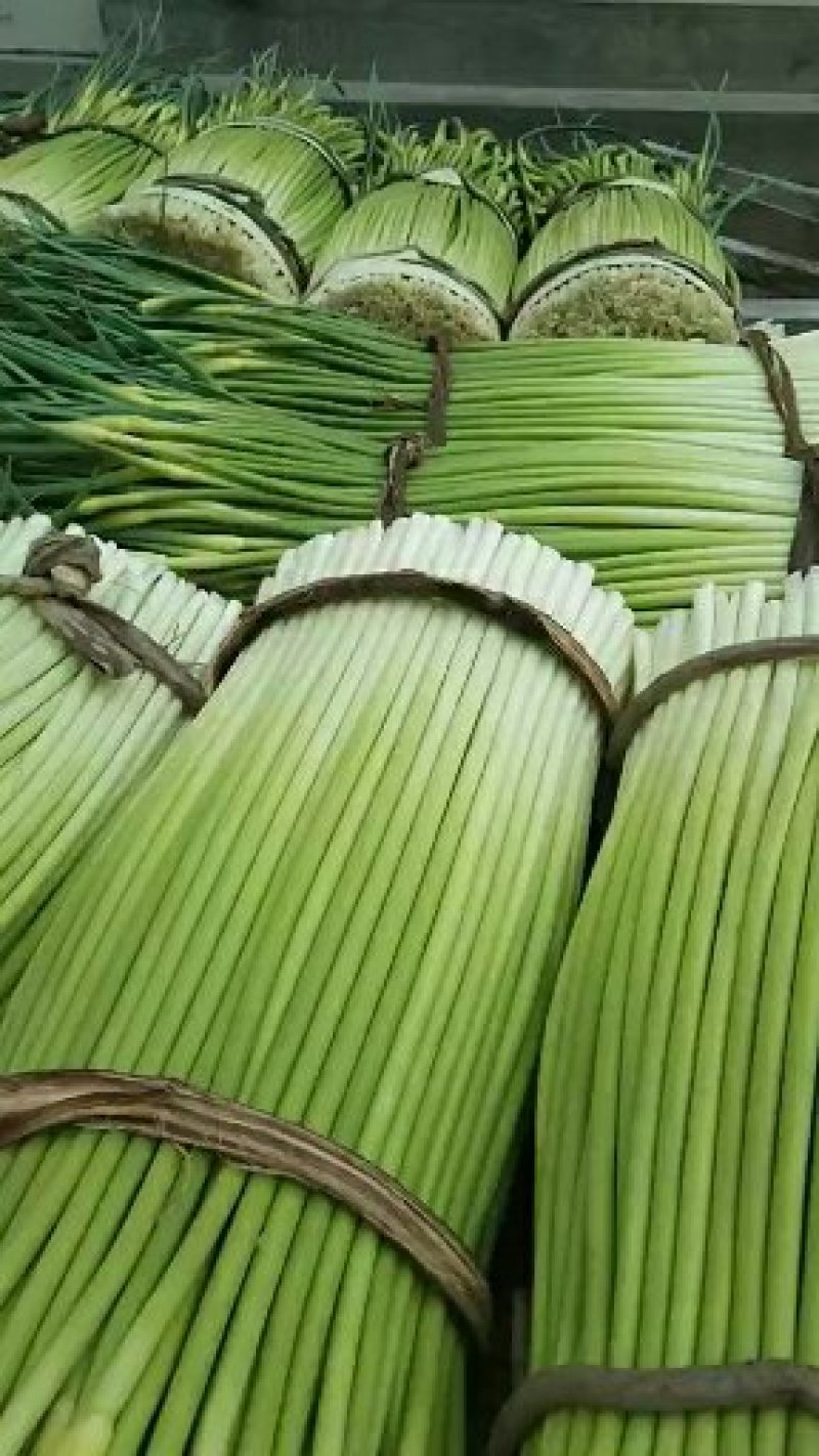 蒜薹
