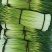 蒜薹