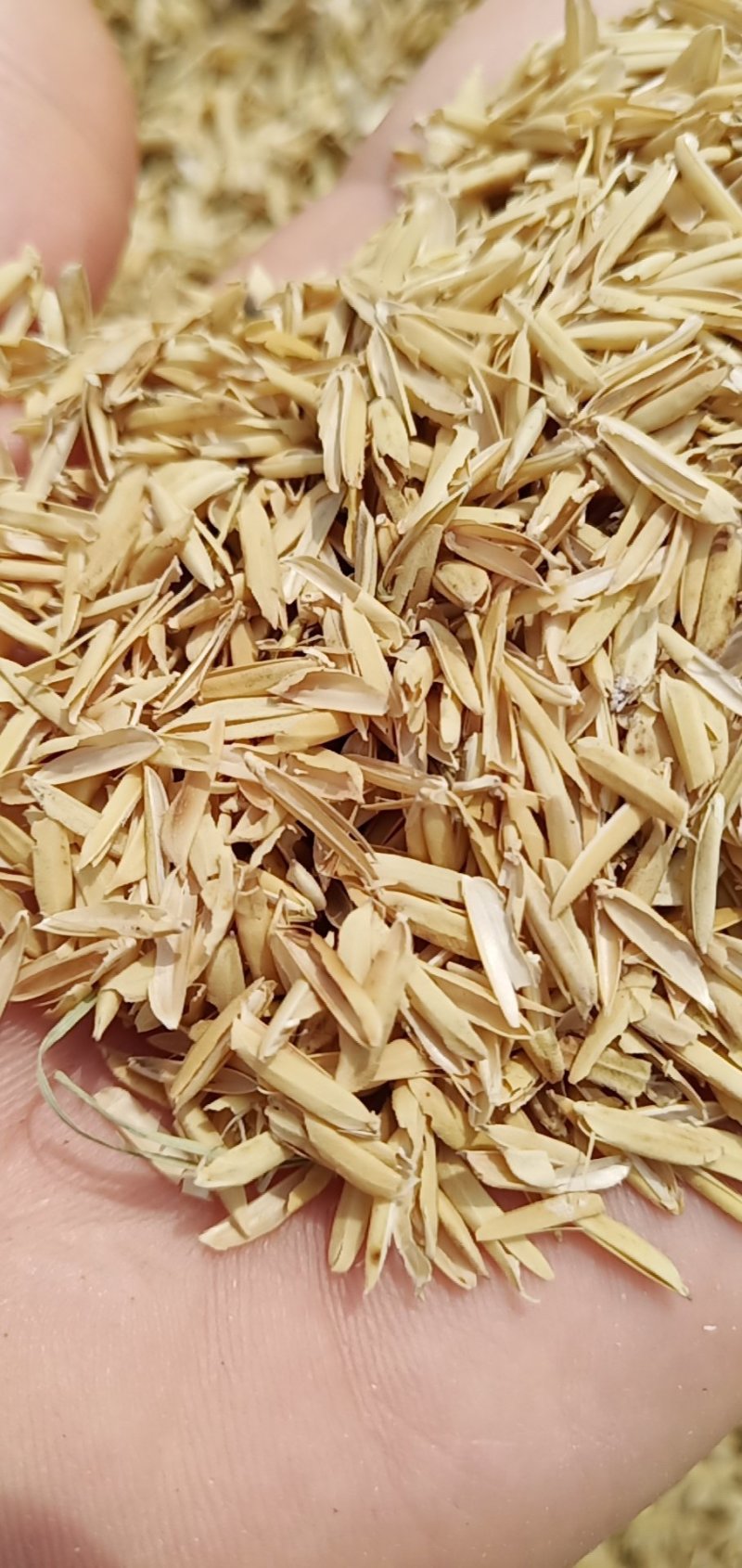 压缩稻壳