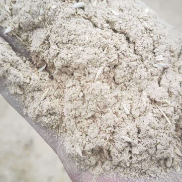 供应大量优质次粉高蛋白小麦次粉小麦谷蛋白粉动植物饲