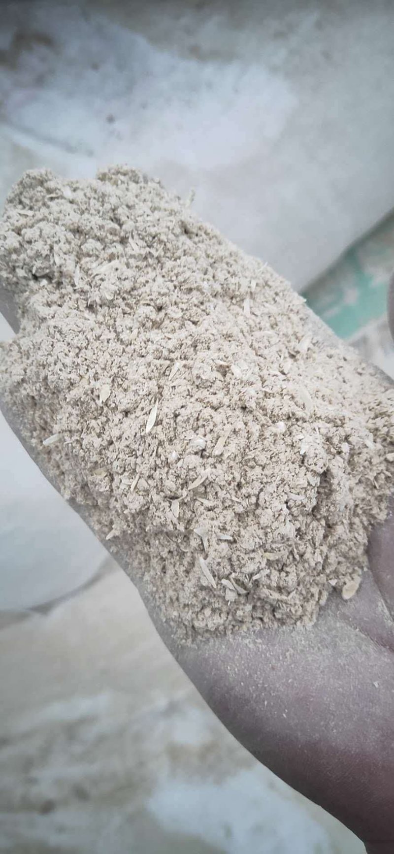 供应大量优质次粉高蛋白小麦次粉小麦谷蛋白粉动植物饲
