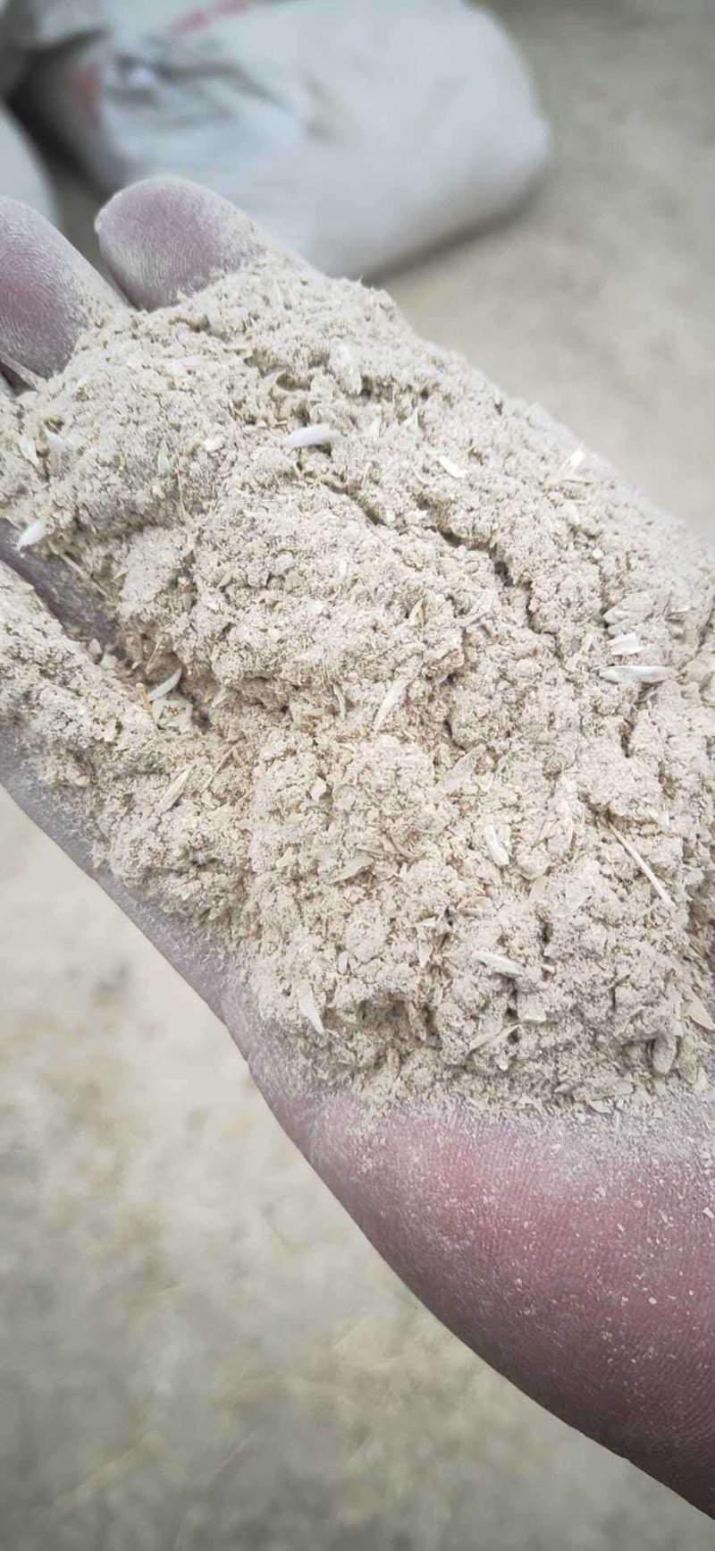 供应大量优质次粉高蛋白小麦次粉小麦谷蛋白粉动植物饲