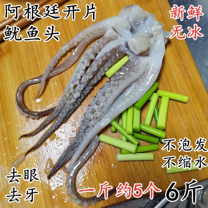 冷冻阿根廷开片鱿鱼头须6斤鱿鱼须新鲜鱿鱼爪铁板烧烤串海鲜