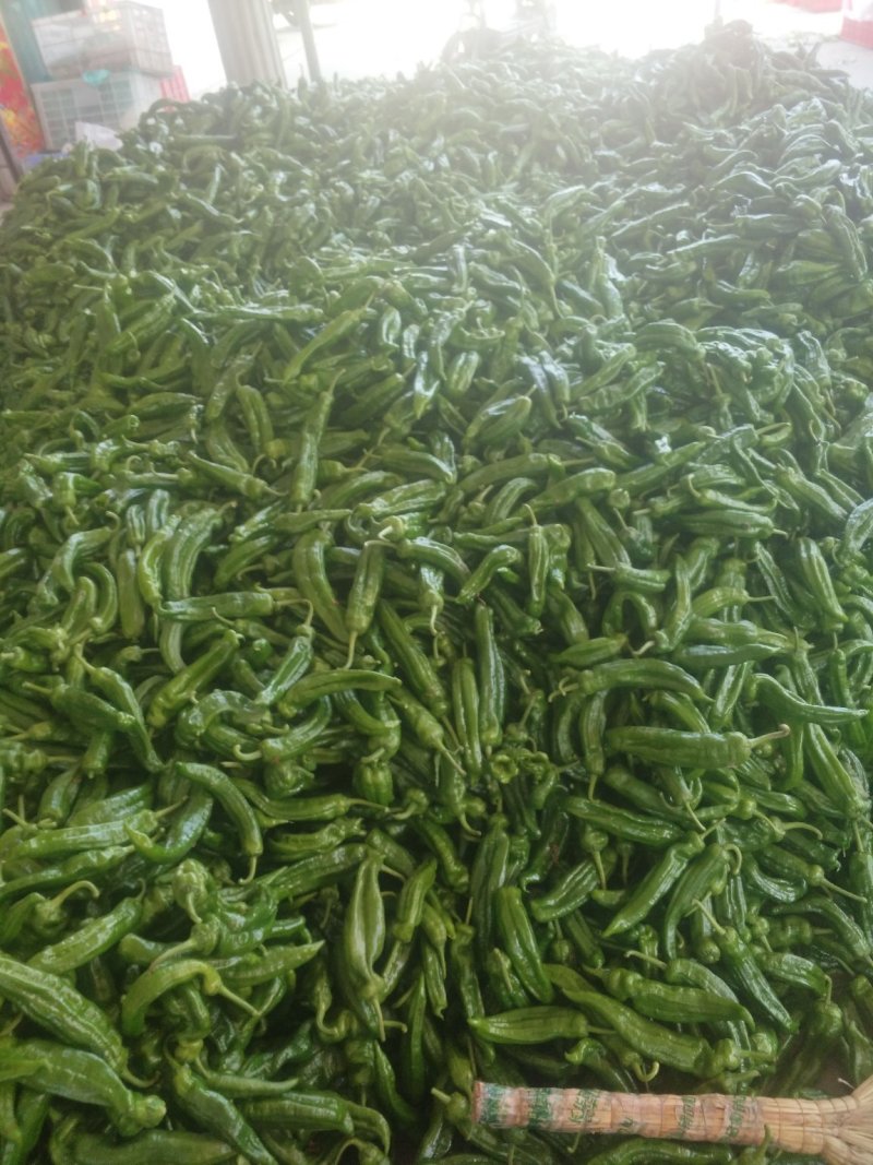 青椒