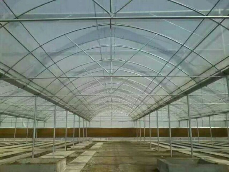 大棚骨架*养殖大棚*蔬菜大棚*种植大棚*花卉温室大棚