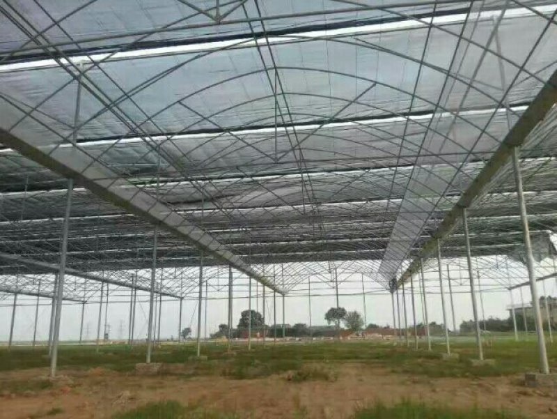 大棚骨架*养殖大棚*蔬菜大棚*种植大棚*花卉温室大棚