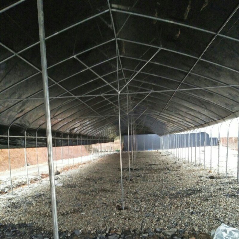 大棚骨架*养殖大棚*蔬菜大棚*种植大棚*花卉温室大棚