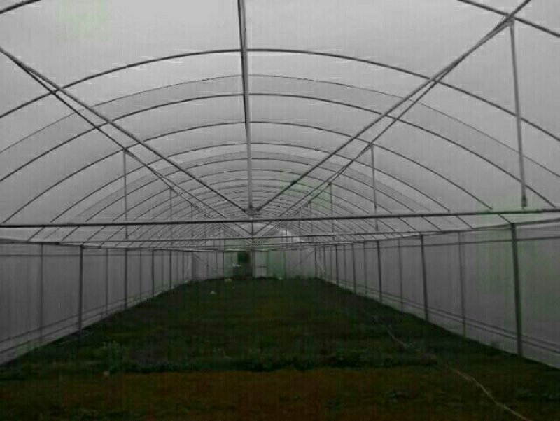 大棚骨架*养殖大棚*蔬菜大棚*种植大棚*花卉温室大棚