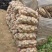 土豆精品基地直发量大从优品质保障可个个饱满，很嫩，精