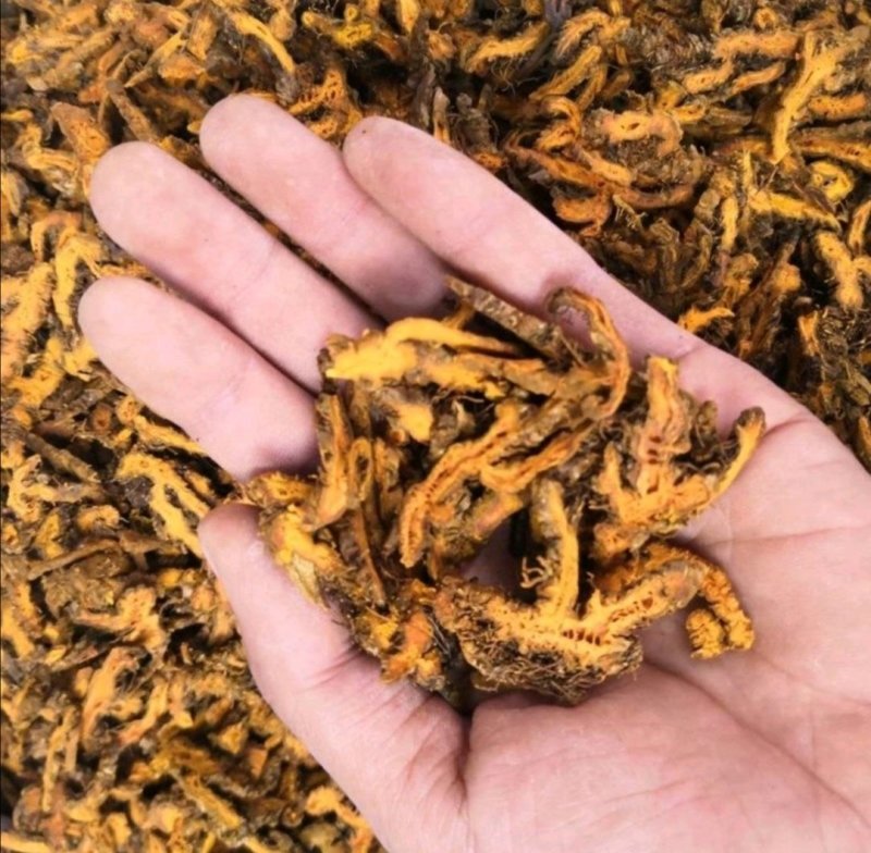 黄连，产地四川，质优价实，品质保证，药典标准，道地良药