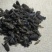 黄牛刺虫,道地药材,质优价实,品质保证,药典标准一公斤起