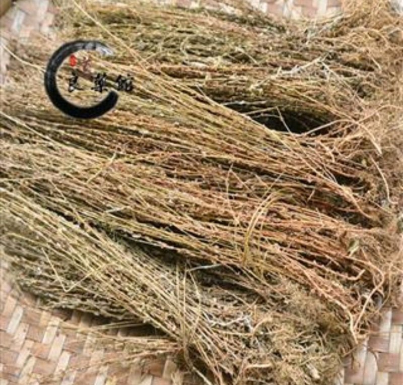 田基黄道地药材，质优价实，品质保证药典标准一公斤起批