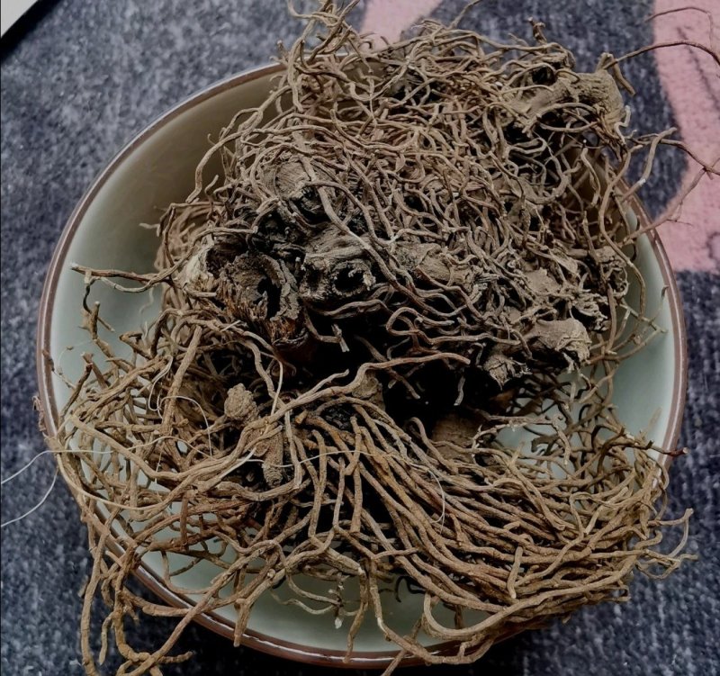 红毛七.道地药材，质优价实，品质保证，药典标准，产地四川