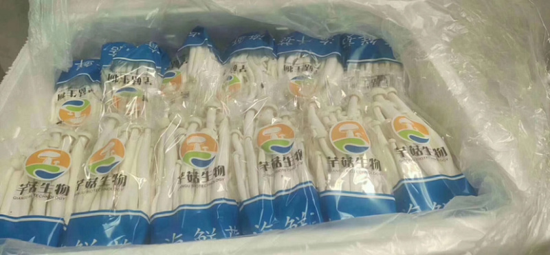 海鲜菇蟹味菇跑江湖地摊10元4把模式热卖