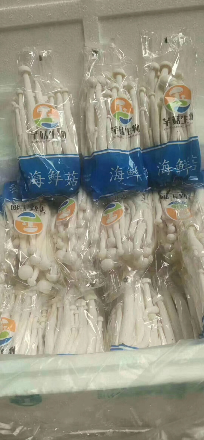 海鲜菇蟹味菇跑江湖地摊10元4把模式热卖