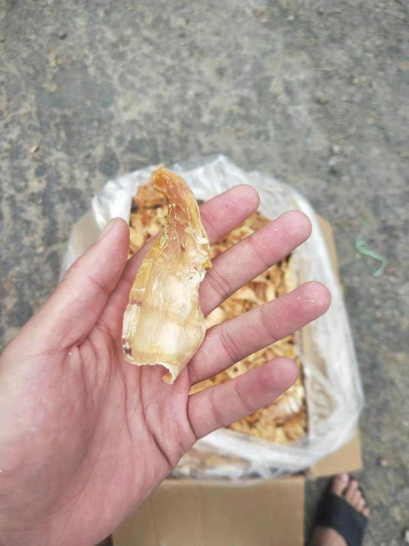 3寸笋尖，笋干，无老跟，颜色金黄鲜亮，48小时发货