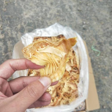 3寸笋尖，笋干，无老跟，颜色金黄鲜亮，48小时发货