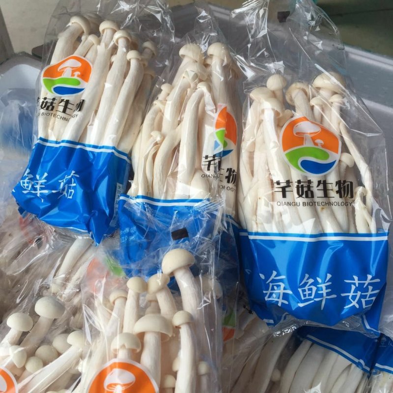 海鲜菇2020新鲜菌类跑江湖地摊货源10元模式