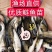 大口鲢鱼苗，渔场直发，淡水养殖，成活率高免费技术全国发货