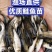 大口鲢鱼苗，渔场直发，淡水养殖，成活率高免费技术全国发货