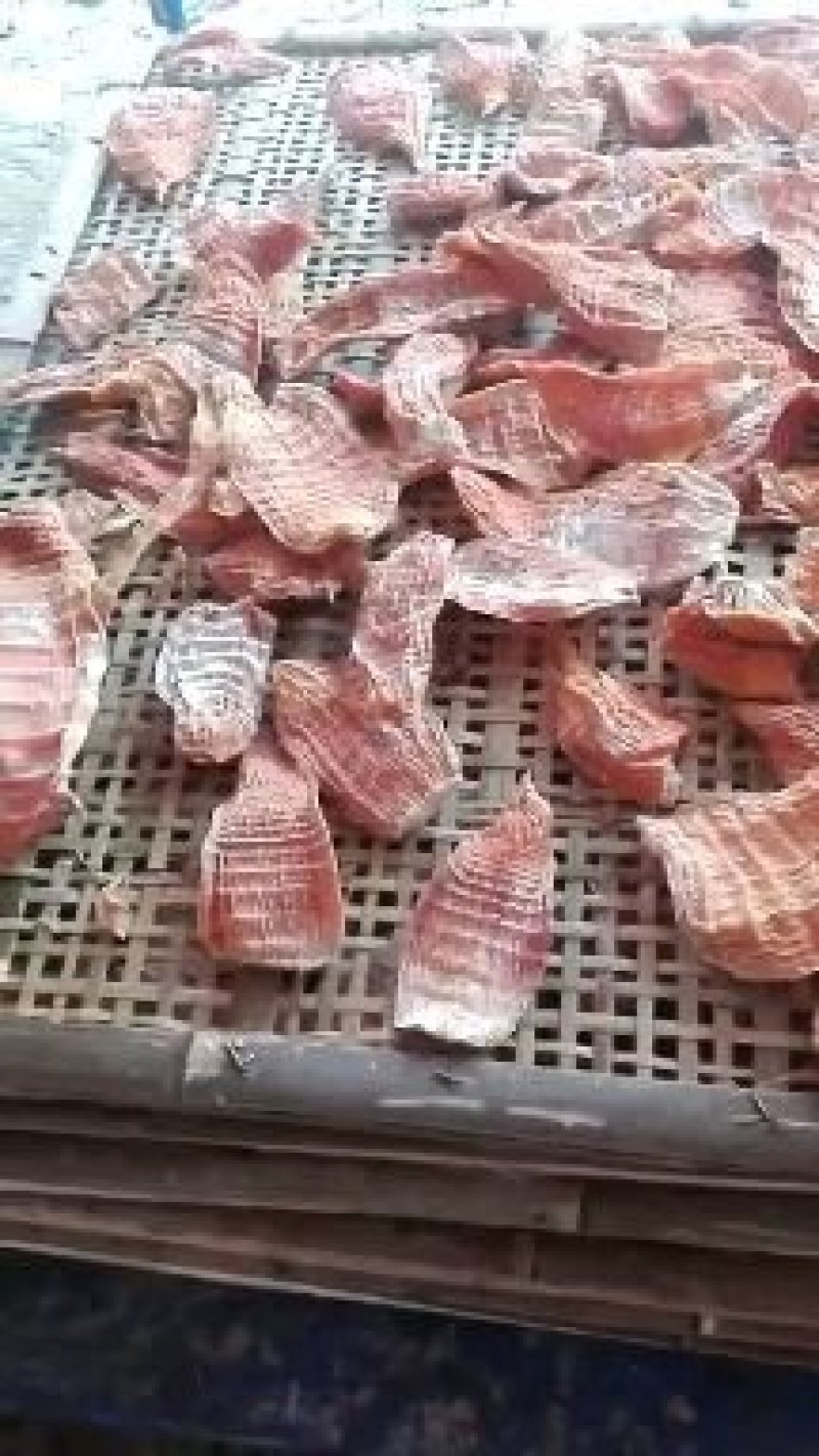 3寸笋干，笋尖，无老跟产地直发，48小时发货