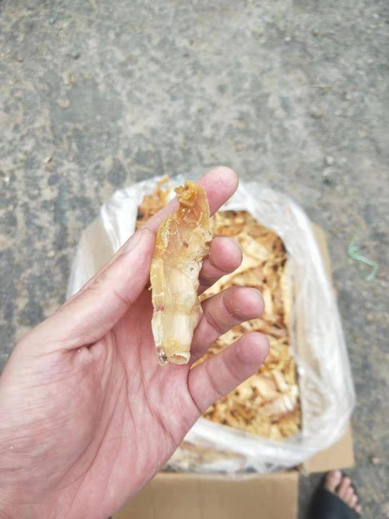 3寸笋干，笋尖，无老跟产地直发，48小时发货