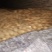 大量出售窖藏红香蕉红薯