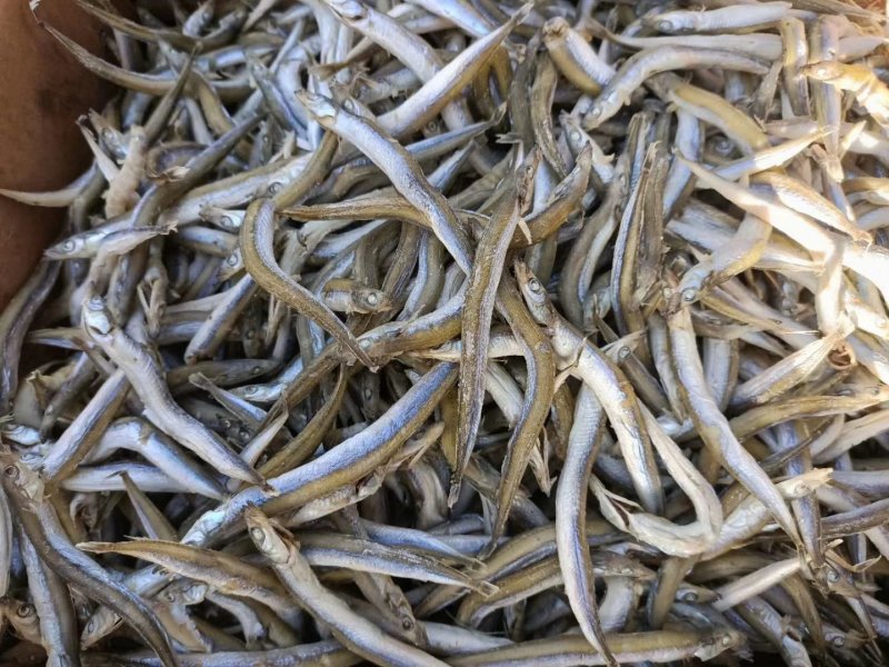 银针鱼，一种深海鱼即食的没有碎刺，支持一件代发