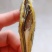 银针鱼，一种深海鱼即食的没有碎刺，支持一件代发