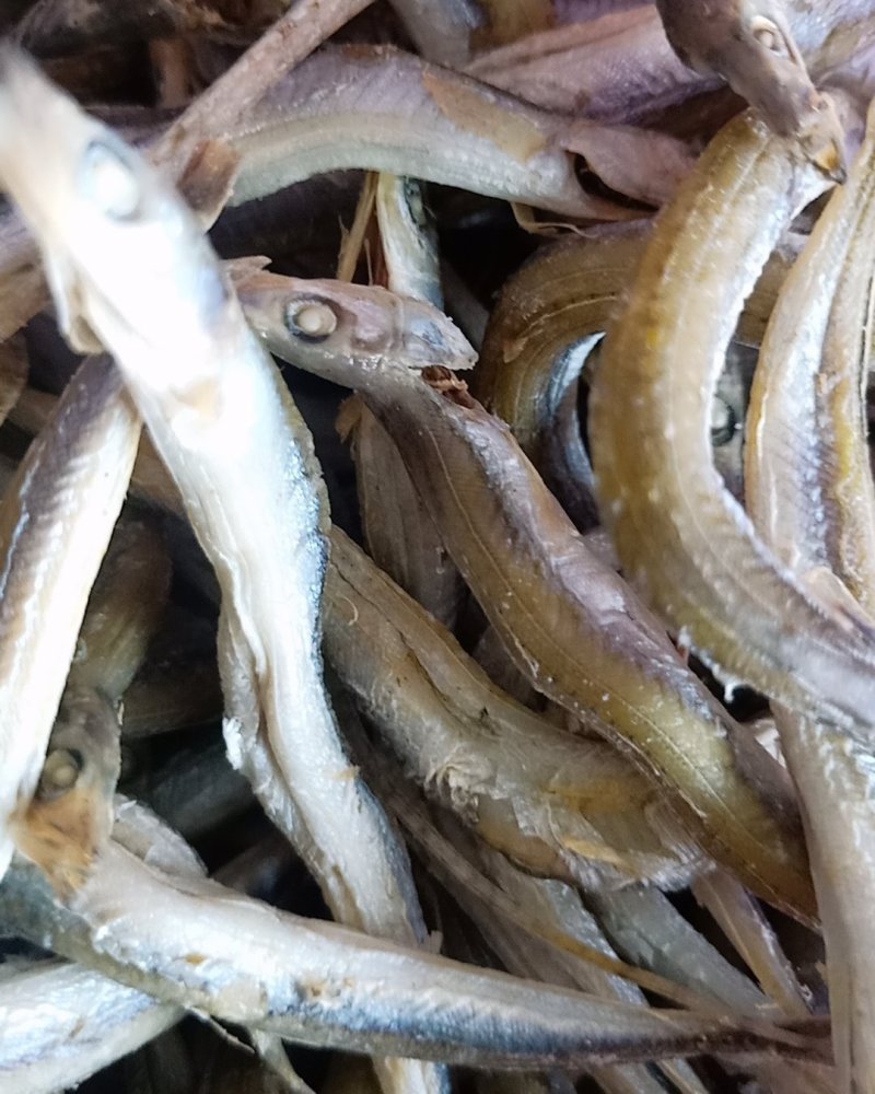 银针鱼，一种深海鱼即食的没有碎刺，支持一件代发