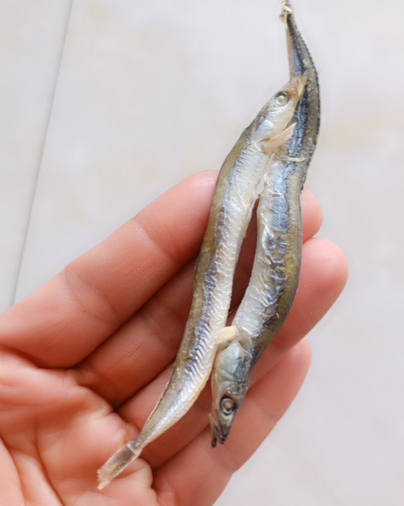 银针鱼，一种深海鱼即食的没有碎刺，支持一件代发