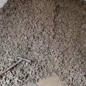 产地直销猪苓，，常年经营，质量好，价格实惠