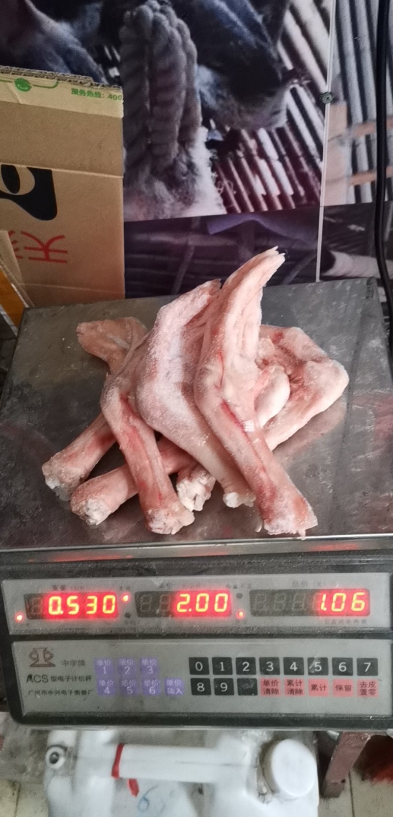 一斤6~7个大鹅掌肥身肉厚没破皮质量保证