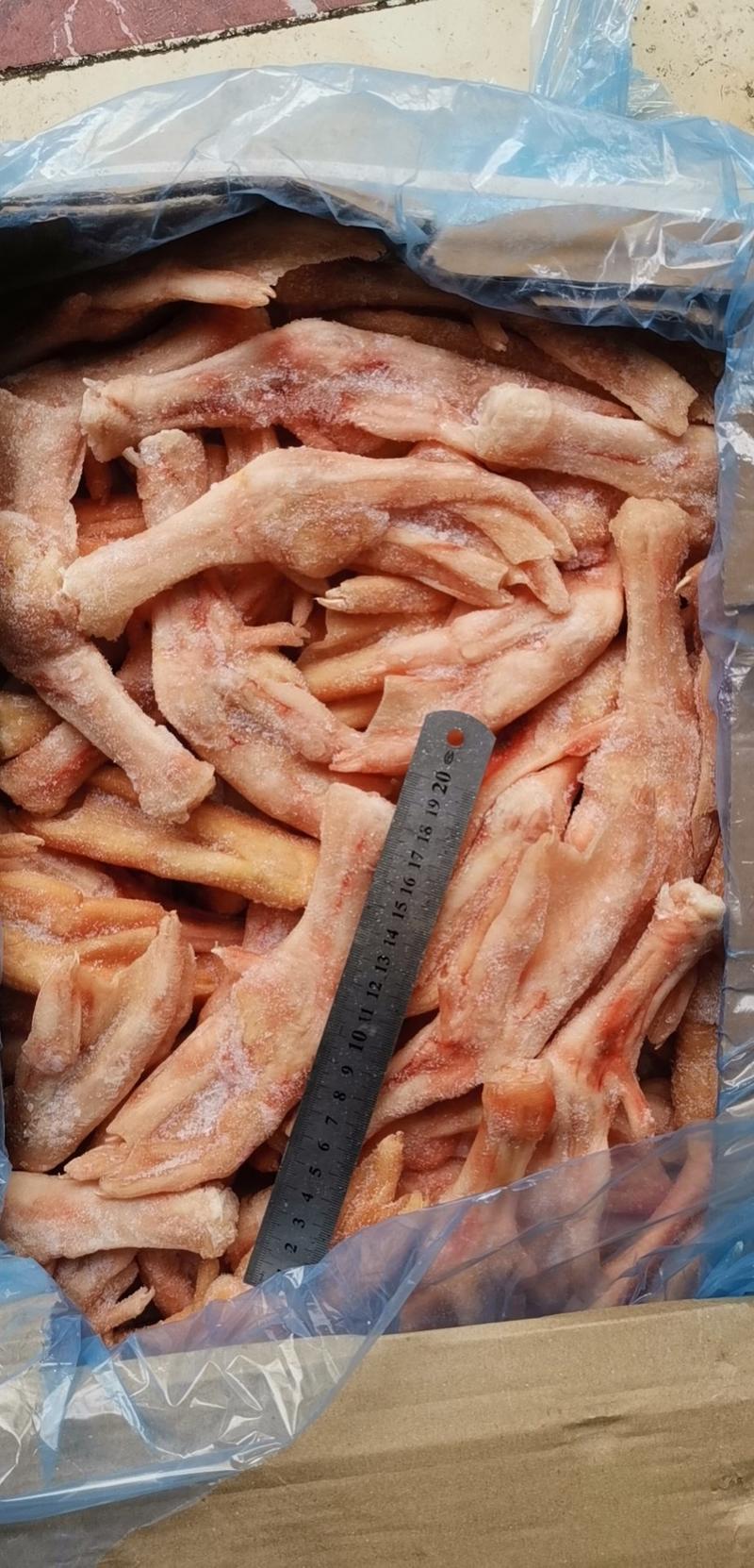 一斤6~7个大鹅掌肥身肉厚没破皮质量保证