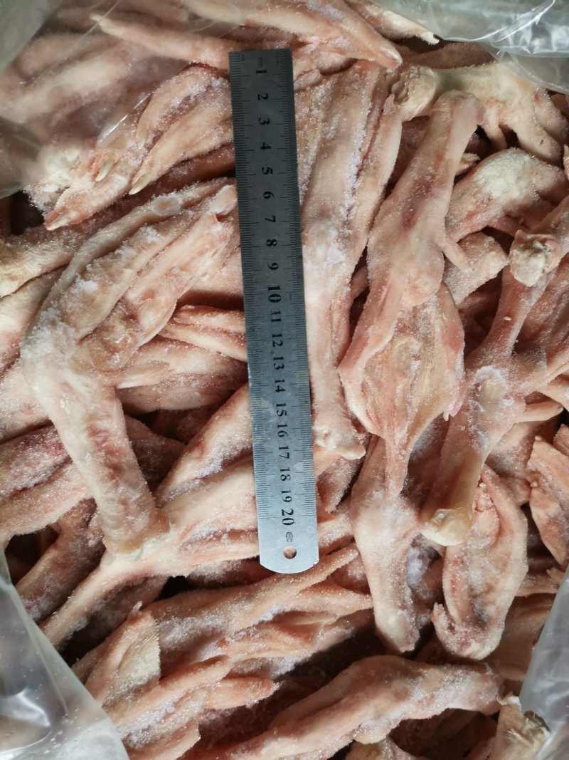 一斤6~7个大鹅掌肥身肉厚没破皮质量保证