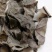通城虎.道地药材,质优价实,品质保证,药典标准一公斤起批