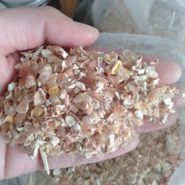 厂家饲料供应大片玉米皮含玉米粒适合养羊用玉米皮