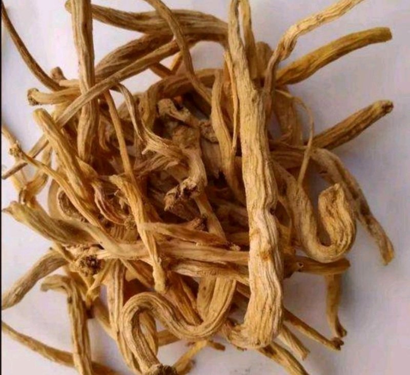 金铁锁，道地药材，质优价实，品质保证，药典标准一公斤起批