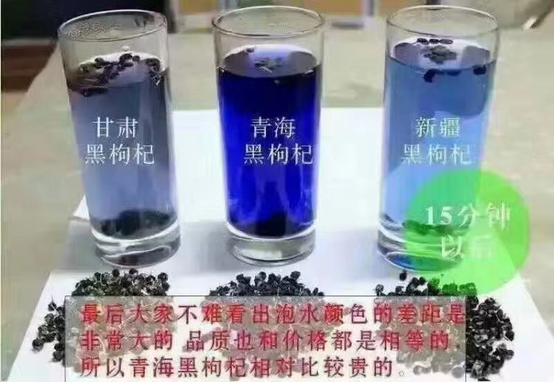 青海柴达木盆地格尔木产地黑枸杞大颗粒