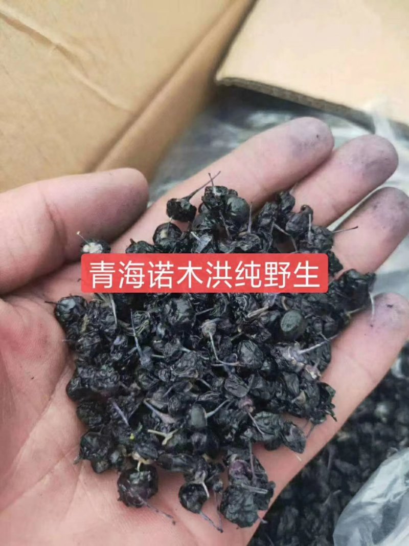 青海柴达木盆地格尔木产地黑枸杞大颗粒