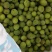 永泰梧桐优质新鲜季节性《青梅》水果，可代办，自产自销。