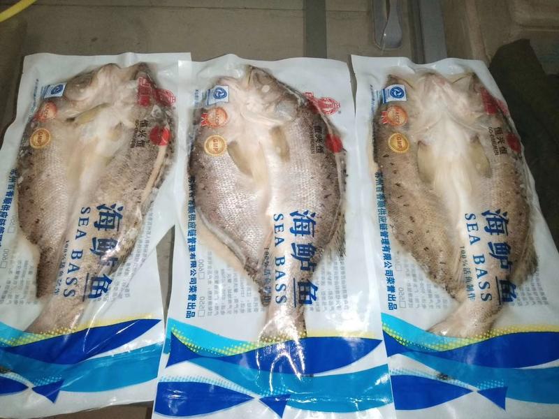 海鲈鱼质量好，价格优，欢迎订购。