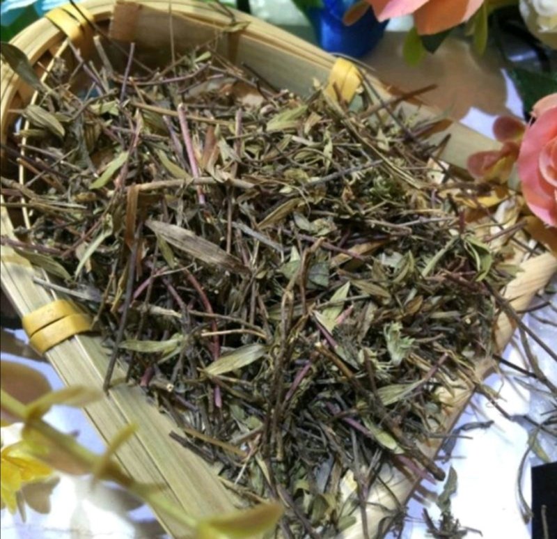 毛麝香，道地药材，质优价实，品质保证，药典标准，产地广西